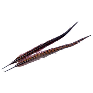 Wapsi Ringneck Pheasant Tail Feather - Chocolate Brown, 1 pair