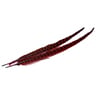 Wapsi Ringneck Pheasant Tail Feather - Rusty Brown, 1 pair - Rusty Brown