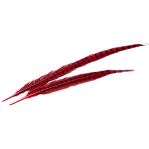 Wapsi Ringneck Pheasant Tail Feather - Red, 1 pair
