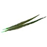 Wapsi Ringneck Pheasant Tail Feather - Light Olive, 1 pair - Light Olive