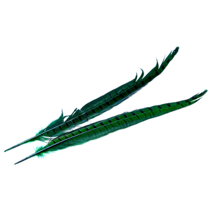 Wapsi Ringneck Pheasant Tail Feather - Green, 1 pair