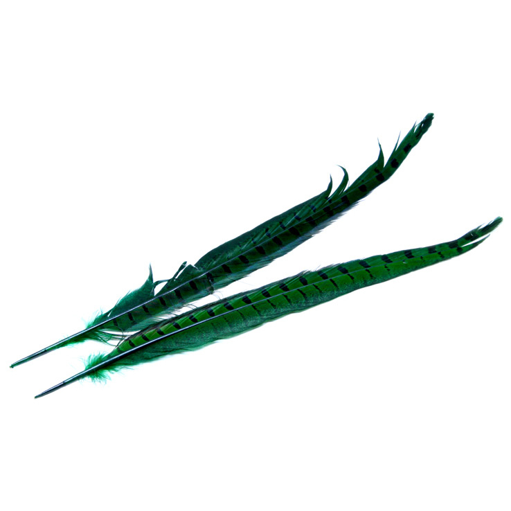 Wapsi Ringneck Tail Wapsi Ringneck Tail