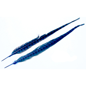 Wapsi Ringneck Pheasant Tail Feather - Blue, 1 pair