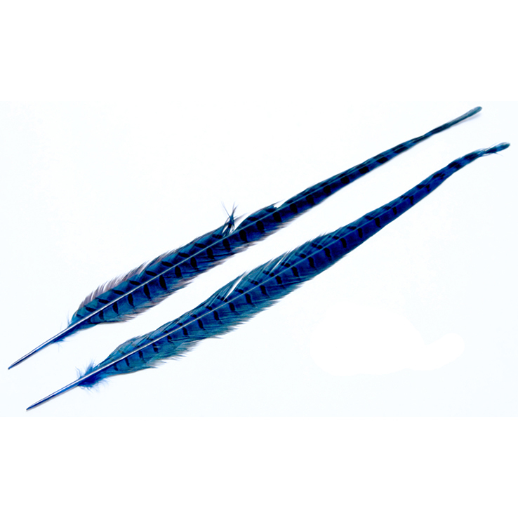 Wapsi Ringneck Tail Wapsi Ringneck Tail