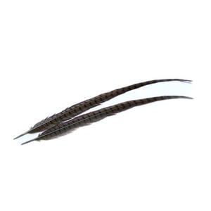 Wapsi Ringneck Pheasant Tail Feather - Olive, 1 pair