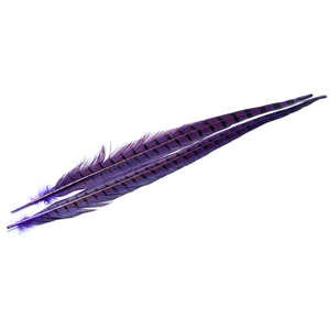 Wapsi Ringneck Pheasant Tail Feather - Purple, 1 pair