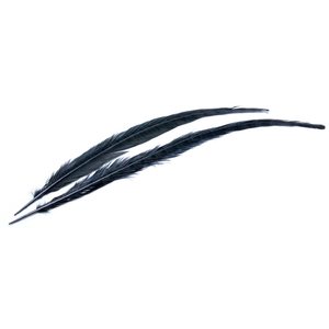 Wapsi Ringneck Pheasant Tail Feather - Black, 1 pair