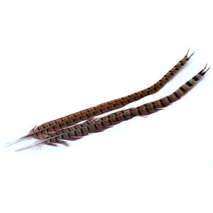Wapsi Ringneck Pheasant Tail Feather - Natural Cock, 1 pair