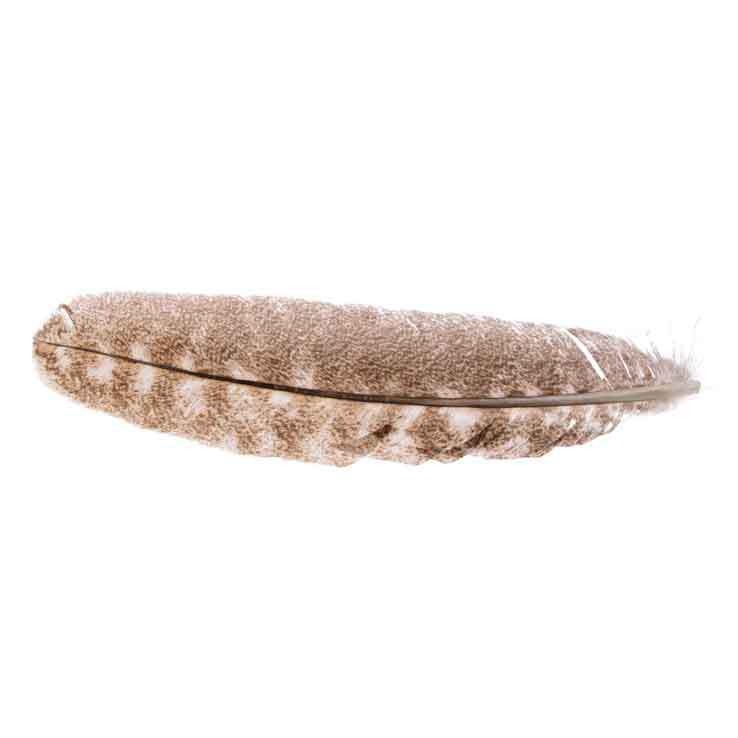Wapsi Turkey Quill Mottled Oak - Mottled Oak Wapsi Turkey Quill Mottled Oak - Mottled Oak