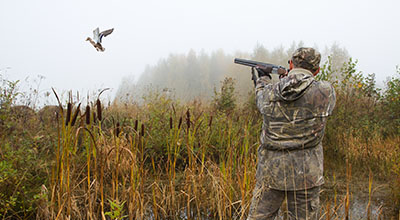 Man duck hunting in a marsh