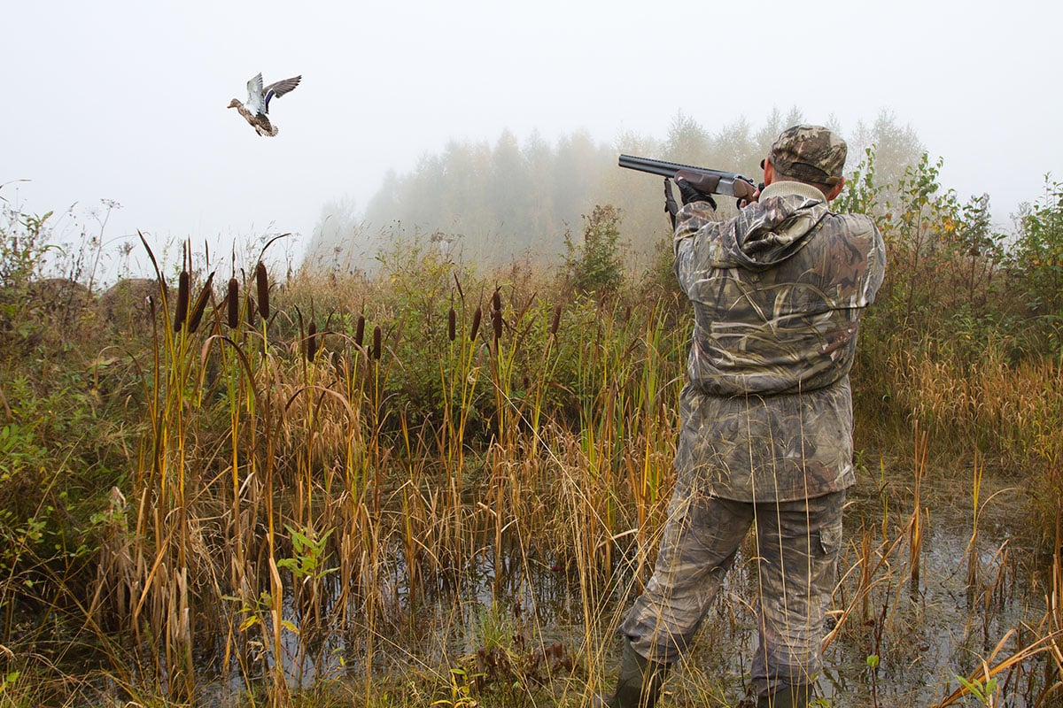 Man shooting a duck