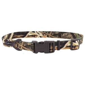 Water & Woods Adjustable Dog Collar