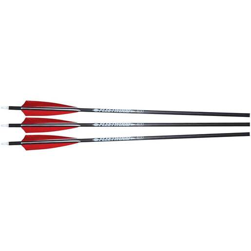 Western Recreation Carbon Arrows