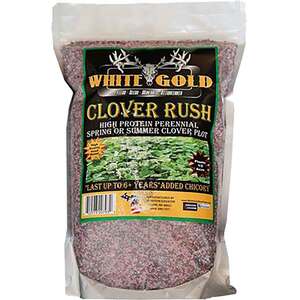 White Gold Clover Rush (Perennial) Forage Attractant - 5lbs