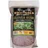 White Gold Clover Rush (Perennial) Forage Attractant - 5lbs