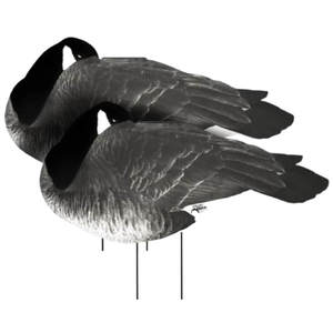 White Rock Canada Sleeper Goose Silhouettes Decoys
