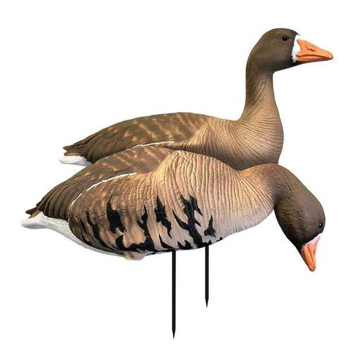 White Rock Decoys EVAC Series Full Body Specks Goose Decoys - 6 Pack