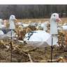 White Rock Decoys Upright Snow Goose Decoys - 12 Pack