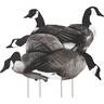 White Rock Printed Canada Goose Silhouette Decoys - 12 Pack