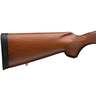 Winchester Model 70 Featherweight Stainless/Walnut Bolt Action Rifle - 243 Winchester - Wood/Stainless