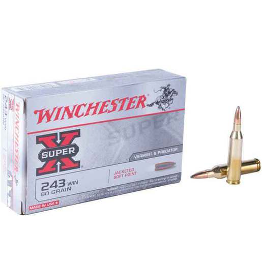 Winchester Super-X 30-06 Springfield 125gr PSP Rifle Ammo Ammo - 20 Rounds 20 Rounds Ammo