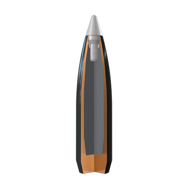 Winchester Supreme Ballistic Silvertip Rifle Ammo Winchester Supreme Ballistic Silvertip Rifle Ammo