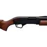Winchester SXP Satin Walnut 20 Gauge 3in Pump Action Shotgun - 30in - Brown