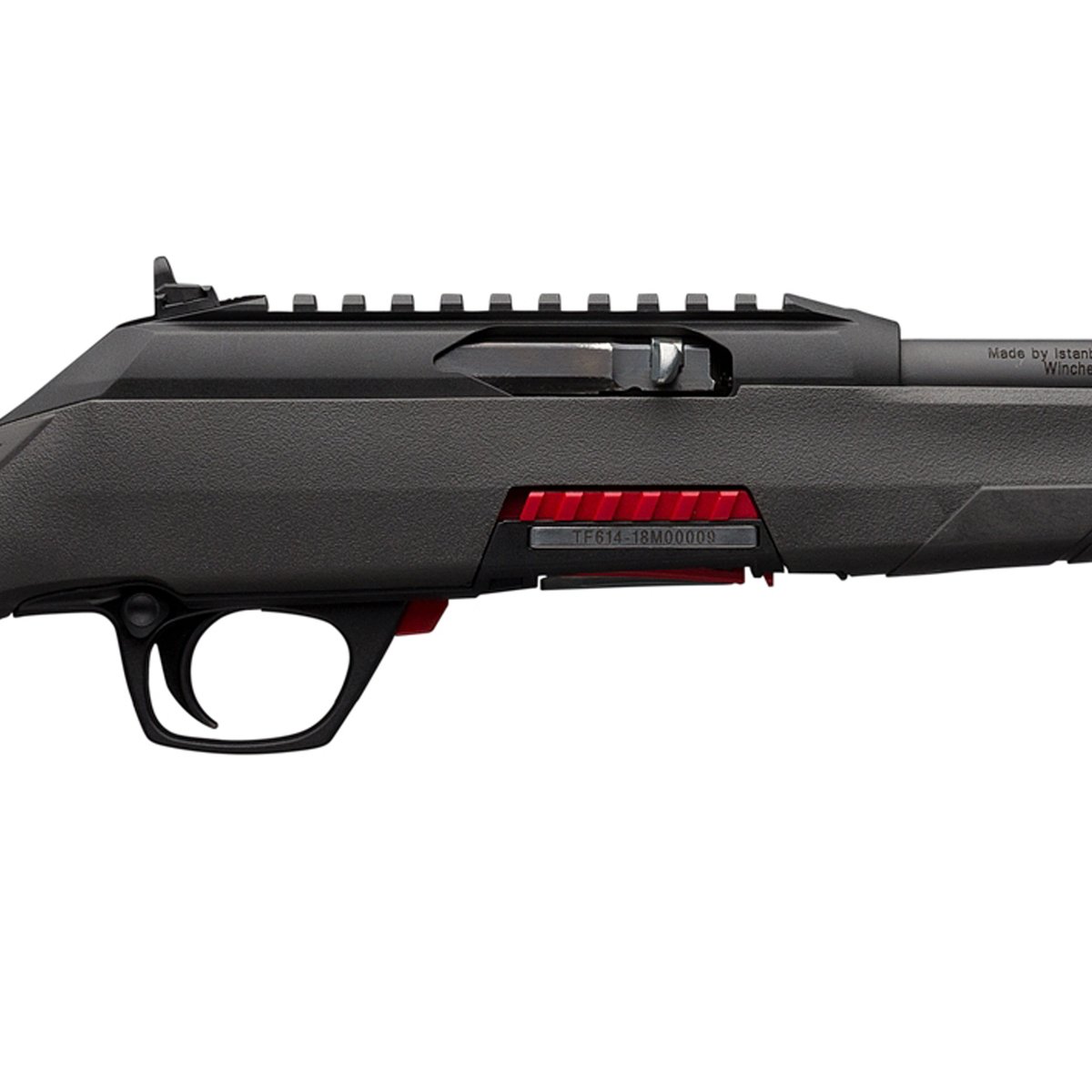 Hunting Raffle 22 Winchester Wildcat 22 22 Long Rifle Matte Blued Semi Automatic Rifle ...