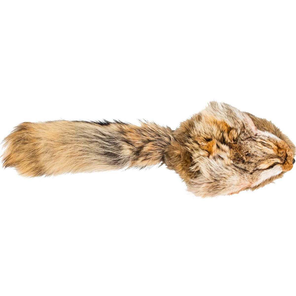 WYL E. Coyote Pelt with Face and Tail Hat WYL E. Coyote Pelt with Face and Tail Hat