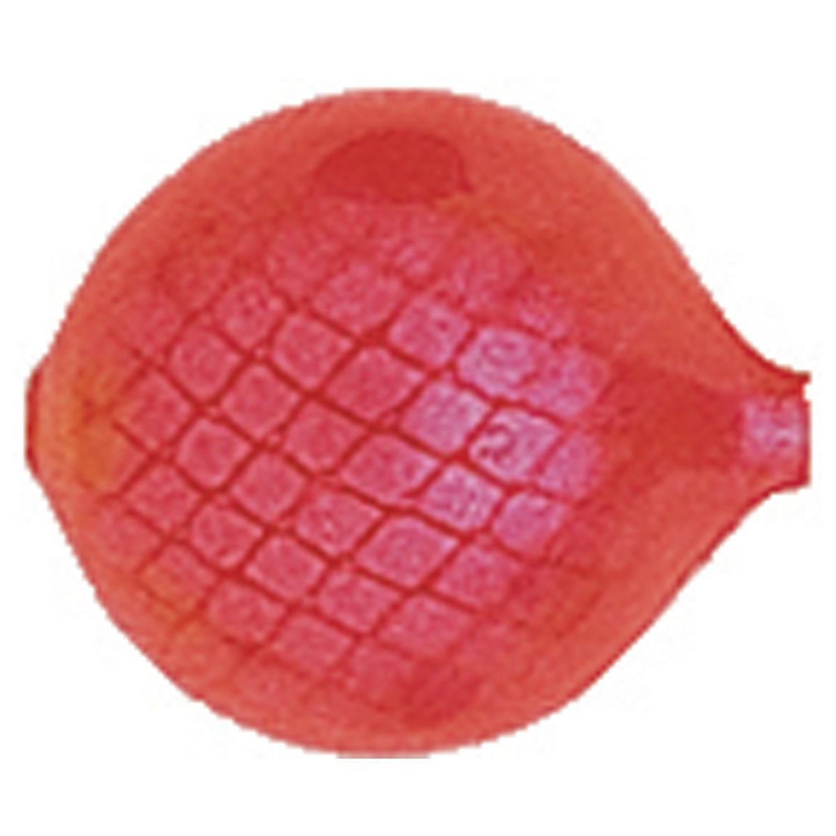Yakima LIL Corky Lure Component - Fluorescent Red Silver, 1/2in, sz8 - Fluorescent Red Silver sz8 Yakima LIL Corky Lure Component - Fluorescent Red Silver, 1/2in, sz8 - Fluorescent Red Silver sz8