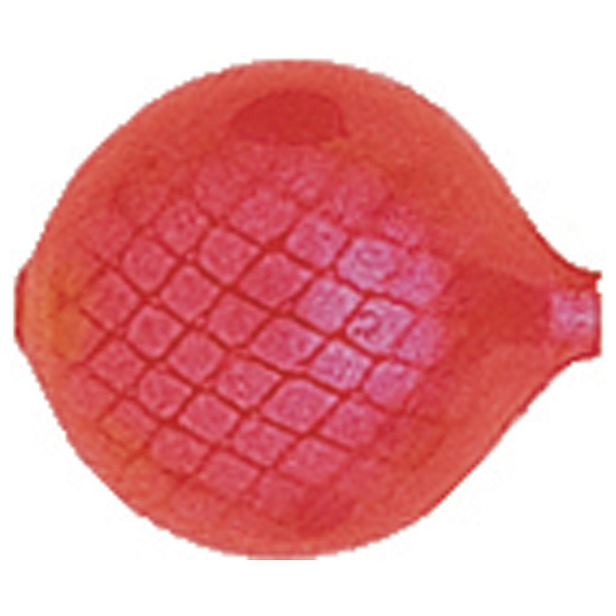 Yakima LIL Corky Lure Component - Fluorescent Red Silver, 1/2in, sz8 - Fluorescent Red Silver sz8 Yakima LIL Corky Lure Component - Fluorescent Red Silver, 1/2in, sz8 - Fluorescent Red Silver sz8