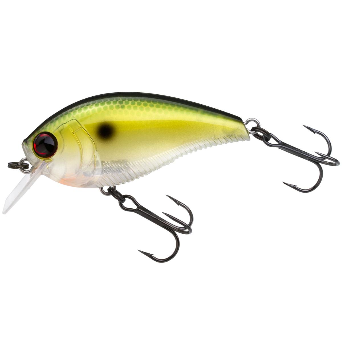 Yo-Zuri 3DB 1.5 Squarebill Crankbait Yo-Zuri 3DB 1.5 Squarebill Crankbait
