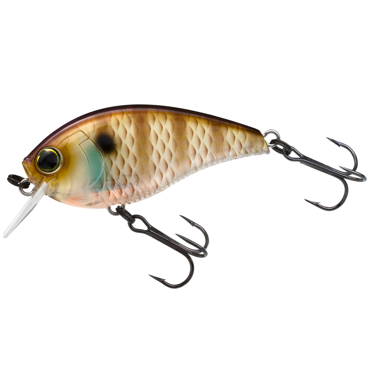 Yo-Zuri 3DB 1.5 Squarebill Crankbait Yo-Zuri 3DB 1.5 Squarebill Crankbait