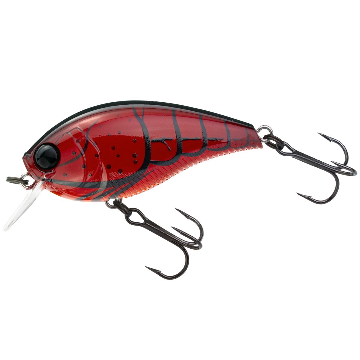 Yo-Zuri 3DB 1.5 Squarebill Crankbait Yo-Zuri 3DB 1.5 Squarebill Crankbait