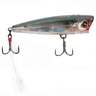 Yo-Zuri 3DR Popper Topwater Bait - Real Gizzard Shad, 3/8oz, 3in - Real Gizzard Shad