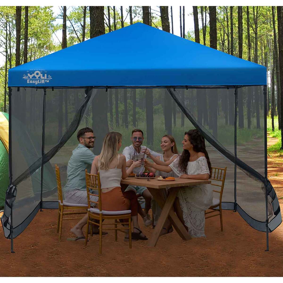 Canopy With Screen YOLI 10ft x 10ft Canopy Mesh Screen Enclosure - Black | Sportsman's ...