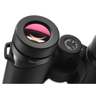 Zeiss Victory SF 10x32mm Schmidt-Pechan Binoculars - Black - Black