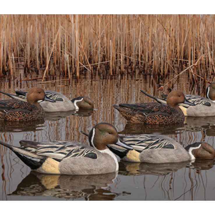 Zink Avian X Topflight Pintails Duck Decoys Zink Avian X Topflight Pintails Duck Decoys